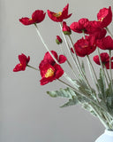 All Red Poppy