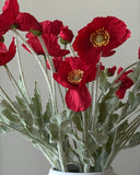 All Red Poppy