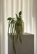 Artificial Three Forks Amaranthus Flower - Green