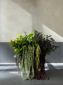 <p>Everlasting flowers</p><p></p>