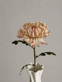 Artificial Semi-Cactus Dahlia Flower -Champagne
