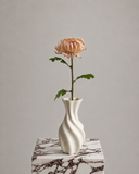 Artificial Semi-Cactus Dahlia Flower -Champagne