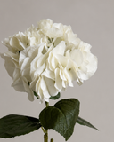 Artificial Hydrangea Flower - White