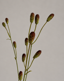 Artificial Mulberry Berry Branch - Red/green