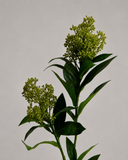Artificial Skimmia Berry Branch - Green