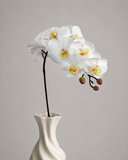 Artificial Orchid (9hd)
