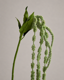 Artificial Amaranthus 6 Forks - Light Green