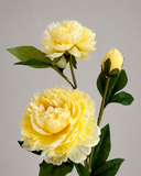 Artificial Peony Flower - Yellow