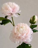 Artificial Peony Flower -Light Pink
