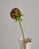 Artificial Scabiosa Seed Pod Flower - Brown