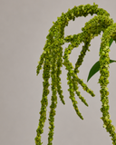 Artificial Amaranthus Flower - Green