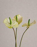 Artificial Anthurium - Green