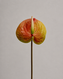 Artificial Anthurium Flower - Coral