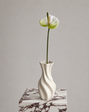 Artificial Anthurium Flower - Light Green