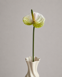 Artificial Anthurium Flower - Light Green