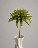 Artificial Cactus Dahlia Flower - Green