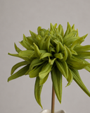 Artificial Cactus Dahlia Flower - Green