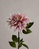 Artificial Cactus Dahlia Flower - Pink