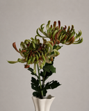 Artificial Chrysanthemum Flower - Green/red