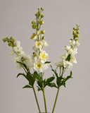 Artificial Delphinium Flower - White