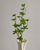 Artificial Enkianthus Perulatus Leaves - Green