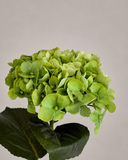 Artificial Hydrangea Flower - Green