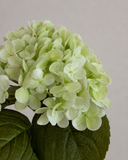 Artificial Hydrangea Flower - Light Green