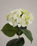 Artificial Hydrangea Flower - White/Green