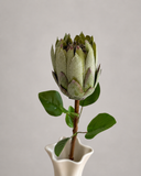 Artificial King Protea Flower - Green