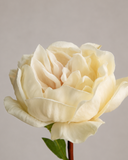 Artificial Large Peony Flower - White
