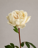 Artificial Large Peony Flower - White