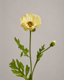Artificial Large Poppy Flowers - White