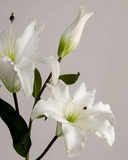 Artificial Majestic Lily Flowers - White