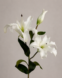 Artificial Majestic Lily Flowers - White