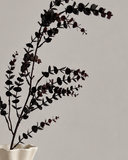 Artificial Parvifolia "Gunni" Eucalyptus Leaves - Dark Red