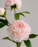 Artificial Peony Flower - Pink