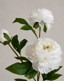 Artificial Peony Flower - White