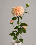 Artificial Dhalia 4 Heads- Champagne