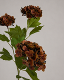 Artificial Snowball Hydrangea - Brown