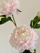 Artificial Peony Flower -Light Pink