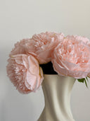 Small Peony Bouquet - 5 Steams - Light Pink