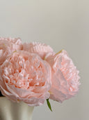 Small Peony Bouquet - 5 Steams - Light Pink