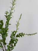 Artificial Wild Flower - White