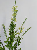 Artificial Wild Flower - Yellow