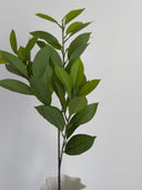 Artificial Ractus Leaves - Green