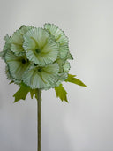 Artificial Scabiosa Seed Pod Flower - Light Green