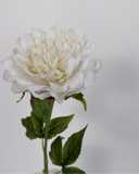 Artificial Single Peony Flower - White