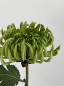Artificial Semi-Cactus Dahlia Flower -Green