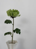 Artificial Semi-Cactus Dahlia Flower -Green