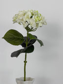 Artificial Hydrangea Flower - White/Green